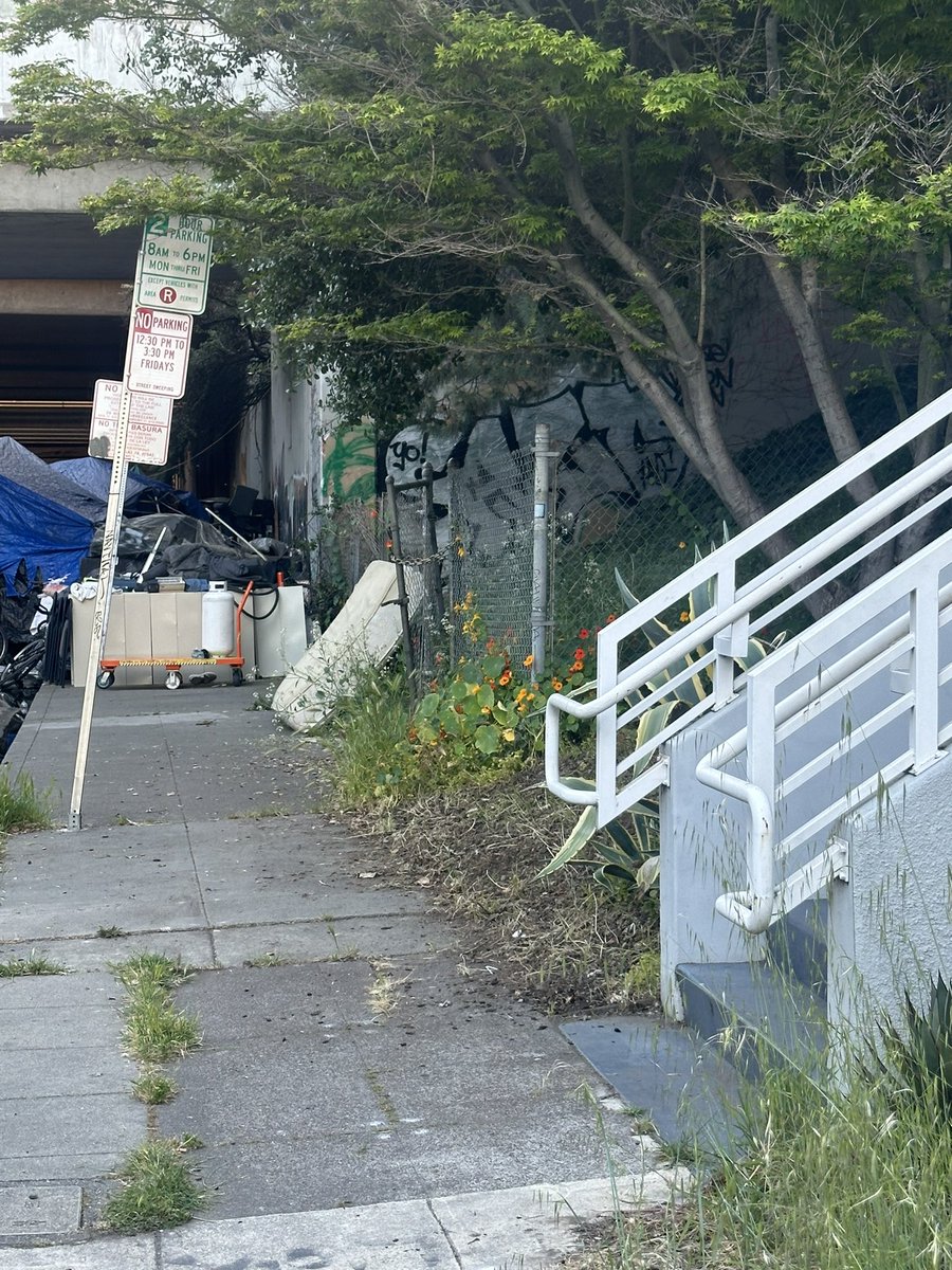 ByCurran's tweet photo. Person camping 25 feet from my house on 29th St (MLK/Telegraph) is hoarding propane tanks. Not only is there one now in between us and the underpass, this person also has 5+ tanks stored under their tarp right by their fire area. #Oakland @carroll_fife @RobBonta @OaklandFireCA https://t.co/pmfSXkrOjU