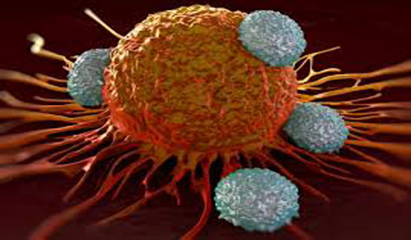 #BreastCancer Radiation Therapy Raises Risk for #Nonkeratinocyte #SkinCancer
👉tinyurl.com/yvrxvpad
@MDEdgeHemOnc #Study