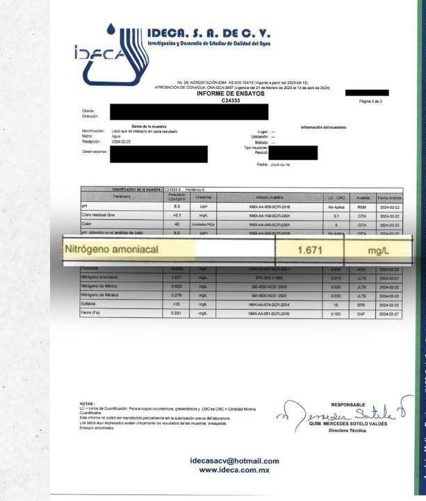 León Krauze tweet media