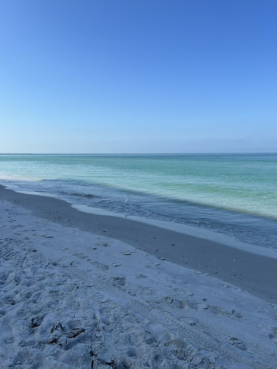 gerald_joseph90's tweet photo. Florida Photo Dump. It’s going to be so hard going back to DC 🍊🌴🌞 @VisitTampaBay @VISITFLORIDA #FloridaForever #HomeSweetHome #NativeFloridian https://t.co/L1NRQrJdN7
