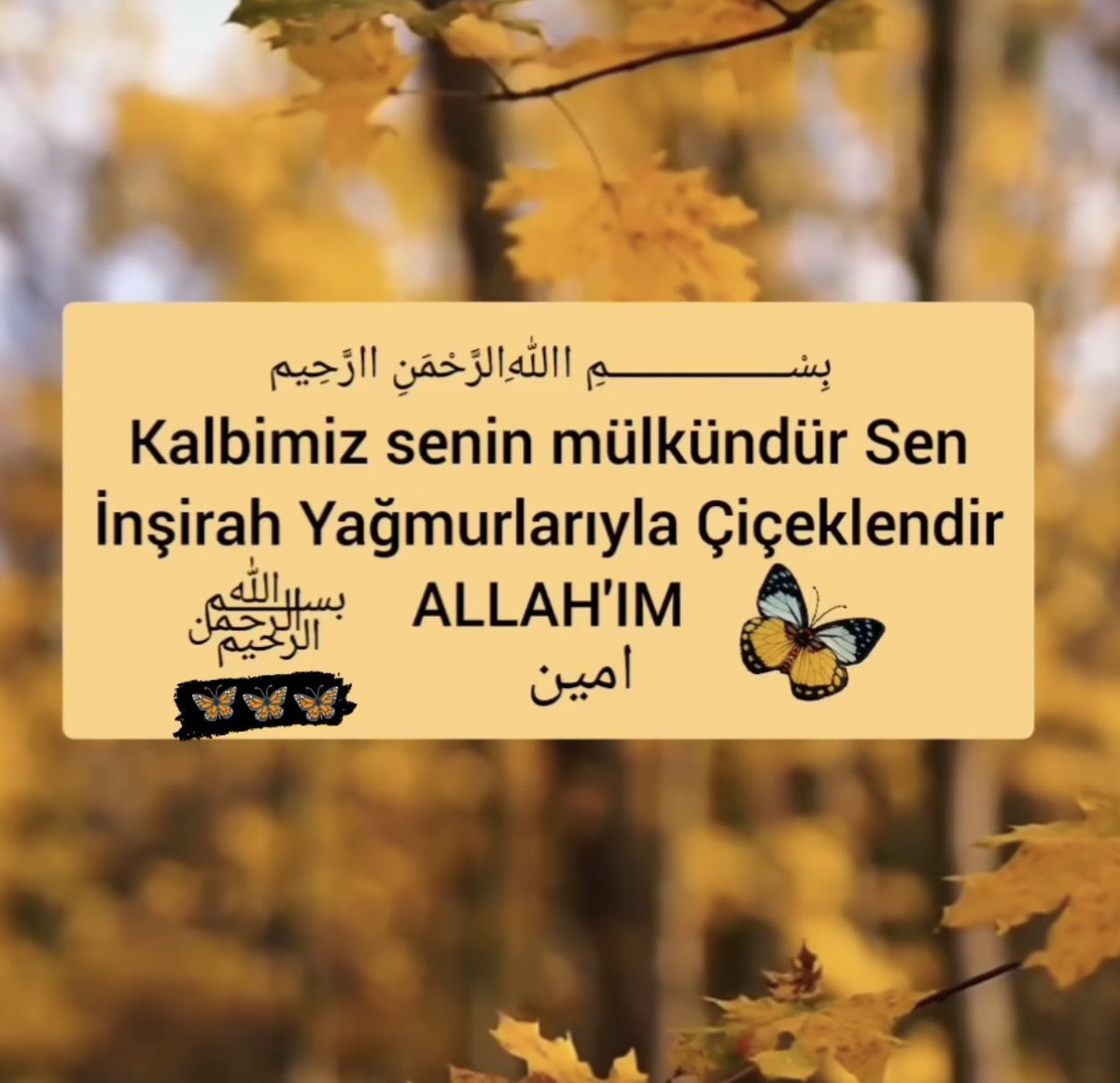 Allah'ım bize doğru zamanda, doğru yerde, doğru kapıları aç. Cümleten Selamün Aleyküm #HayırlıSabahlar #YeniGelmedikGeriGeldik #KayyumlarAtansın