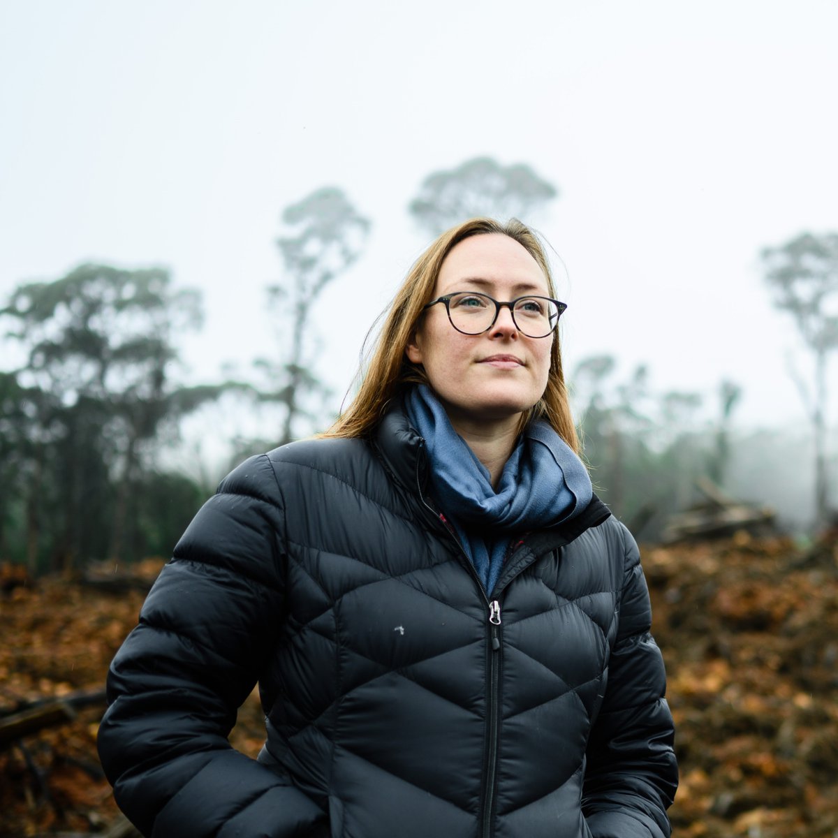 We have a once-in-a-generation opportunity to turn some of Victoria’s most precious native forests into a national park - but loggers and hunters are trying to stop it. Add your voice to the call for our forests to be protected for good: engage.vic.gov.au/central-highla…