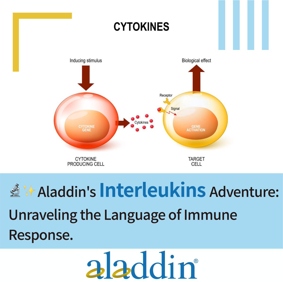 Aladdin's Interleukin Adventure: Unraveling the Language of Immune Response
🔬✨Explore the world of immune system signaling with Aladdin Biochemical's Interleukins product line. 🌟💡 #Interleukins #Immunology #ScientificDiscovery #AladdinScientific
aladdinsci.com