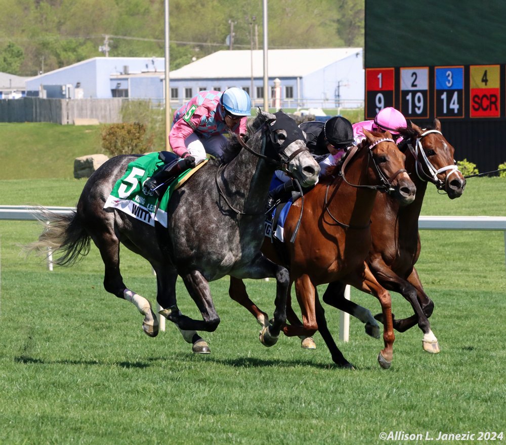 King T. Leatherbury S. WITTY (Toledo, Jevian) Breeder: Elizabeth M. Merryman Owner: Elizabeth M. Merryman Trainer: Merryman, Elizabeth @JevianToledo @LizzieMerryman @LaurelPark #thoroughbred #horseracing #horse #laurelpark