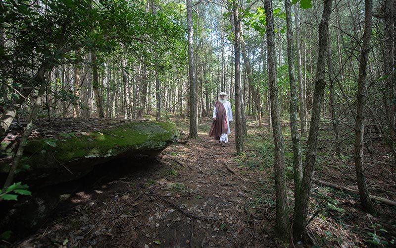 SadhguruJV's tweet photo. Every other creature is working for the wellbeing of Mother Earth. Only we humans need to transform. #SadhguruQuotes https://t.co/qk4EFbz6AQ