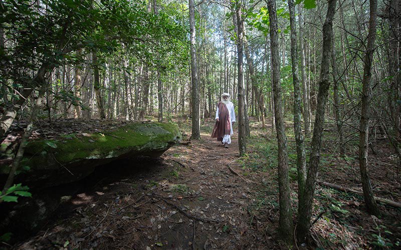 Every other creature is working for the wellbeing of Mother Earth. Only we humans need to transform. #SadhguruQuotes