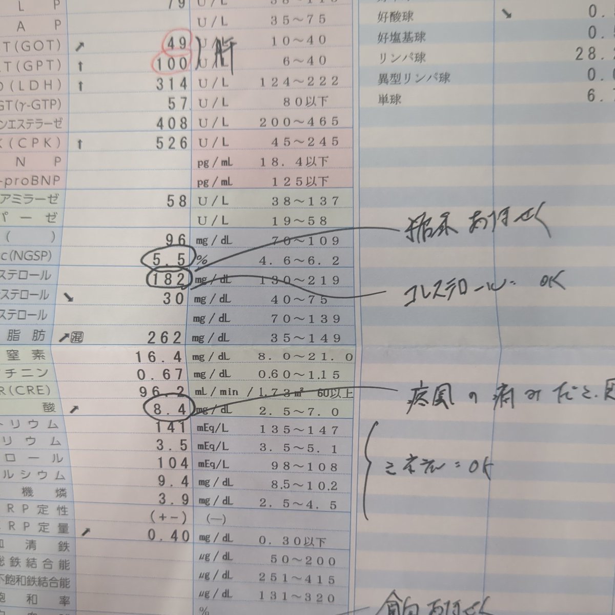 yagoroudon8560's tweet image. 痛風デビューしました。
#速水はじめ
#健康増進

代表、すみません