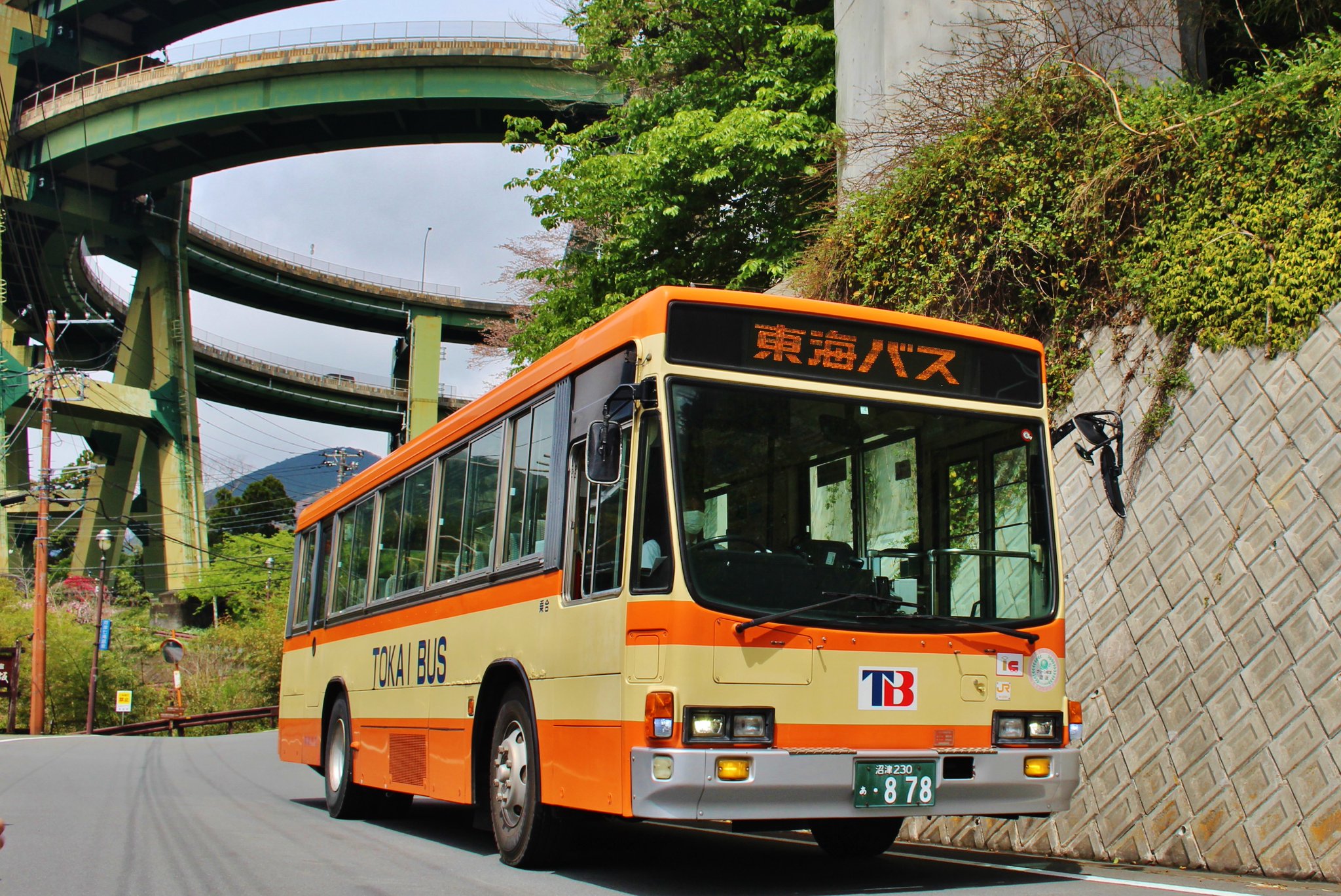 伊豆三津海岸 ラフ画 額装 伊豆三津海岸 ラフ画 額装