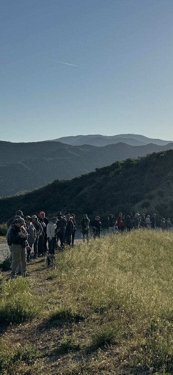BDMCount's tweet photo. A perfect day today! Clear skies and good weather with 80 people visiting and 2,000 birds moving through the divide! Spring migration is turning up w/ Lazuli Buntings, Western Kingbirds, Rufous Hummingbirds, 9 warbler species, and sprinkles of grosbeaks, tanagers, and more! https://t.co/SrHq9HTTVt