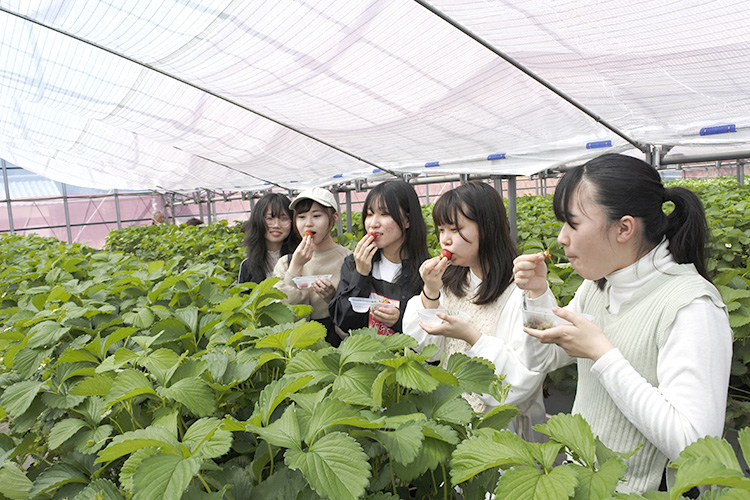 4月16日に製菓・製パン科の１年生が校外学習の一環として、製菓の原材料となる乳製品やフルーツの産地を訪問しました😀
🔽詳しくはこちら🔽
numasen.ac.jp/2024/04/22/%e3…
#沼津 #沼情 #沼津情報ビジネス専門学校 #専門学校 #専門学校生 #製菓学生 #いちご #いちご狩り #パティシエの卵 #製菓 #製菓専門学校