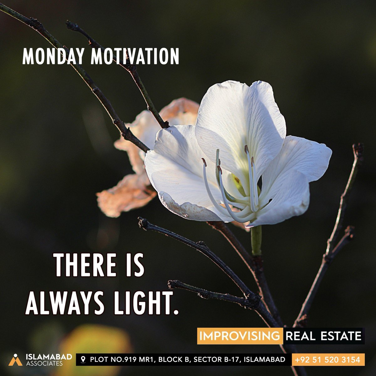 There is always light. #mondaymotivation