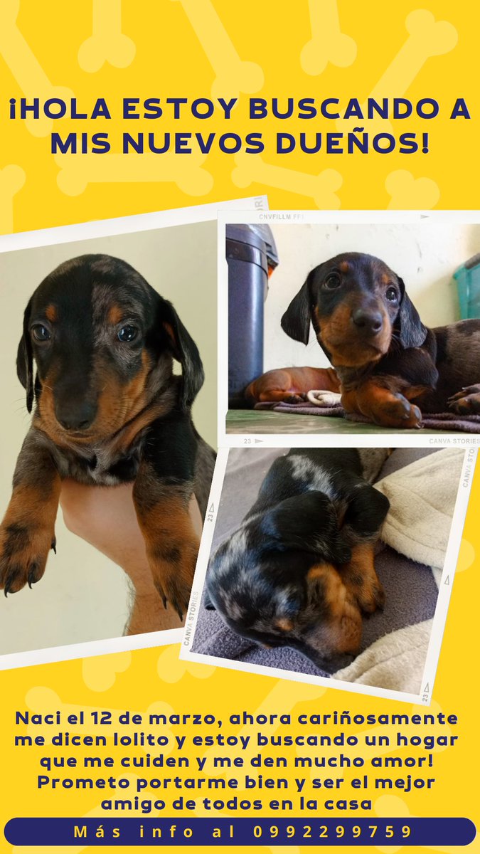 Belli💫 tweet media