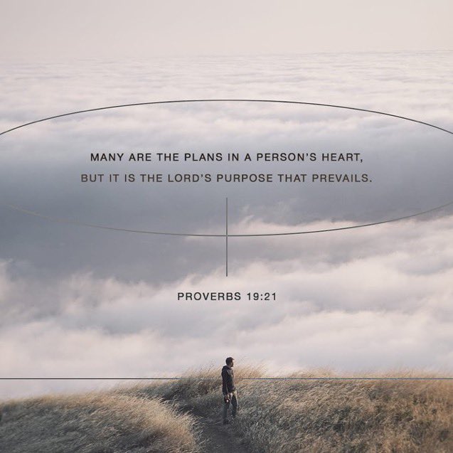 You can make many plans, but the LORD’s purpose will prevail.