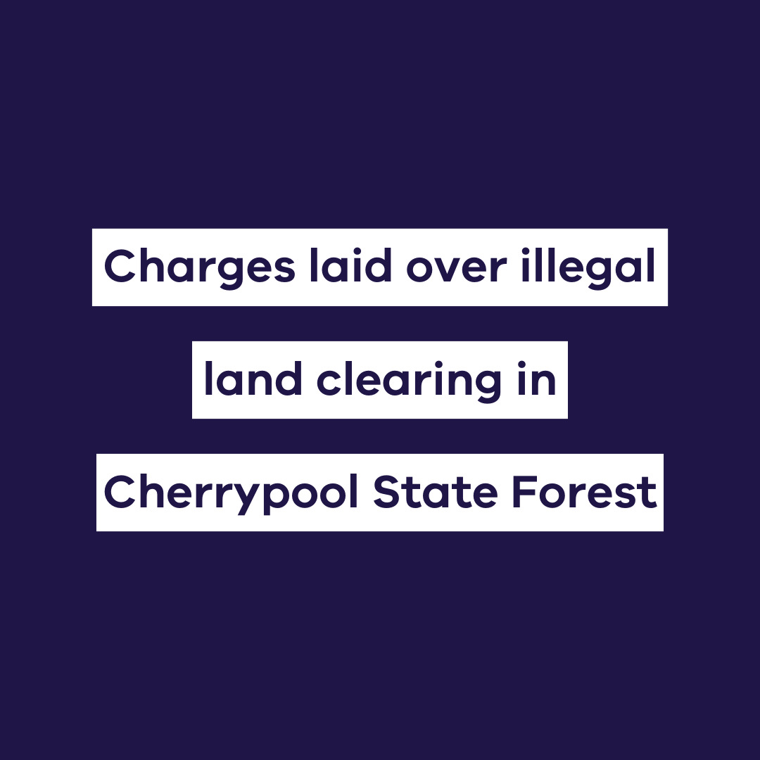 A 51-yr-old Wimmera man is facing 113 charges for allegedly clearing more than 100 trees in Cherrypool SF along his property fence in Feb 2023.
He is also accused of illegal vehicle use, dumping fencing material, and disturbing two native plant species protected by law.