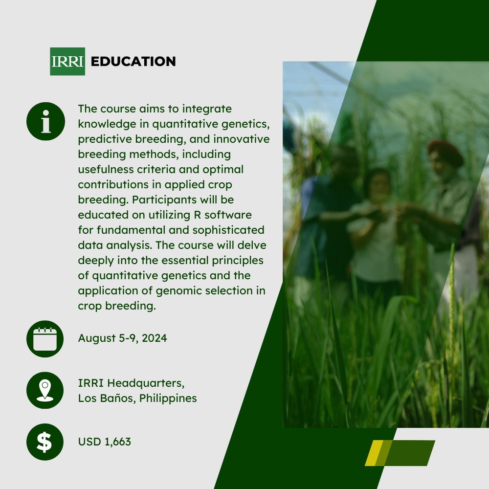 irrieducation's tweet photo. Join us in our #UpcomingCourse Fundamentals of Genomic Predictions and Data-Driven Crop Breeding!
🔍Master the R language for analysis and visualization 🧬 Gain deep insights into quantitative genetics and statistical genomics
💡Understand the 3W's of genomic selection
more👇 https://t.co/LfQLqEoLm6