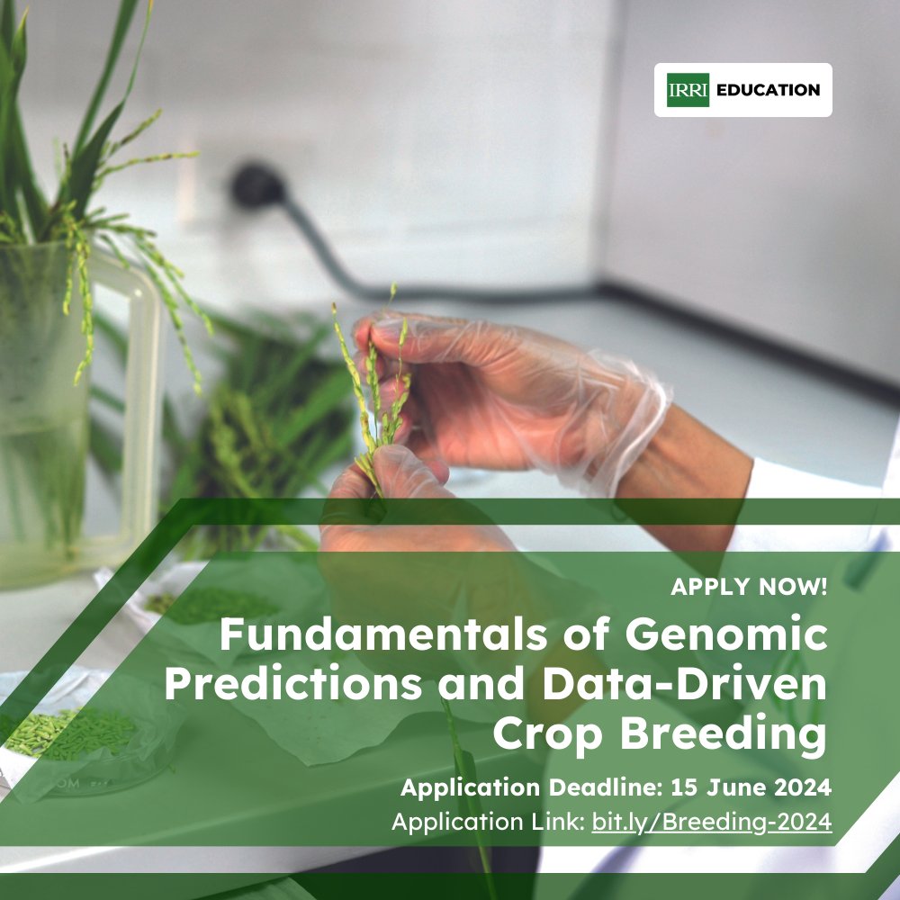 irrieducation's tweet photo. Join us in our #UpcomingCourse Fundamentals of Genomic Predictions and Data-Driven Crop Breeding!
🔍Master the R language for analysis and visualization 🧬 Gain deep insights into quantitative genetics and statistical genomics
💡Understand the 3W's of genomic selection
more👇 https://t.co/LfQLqEoLm6