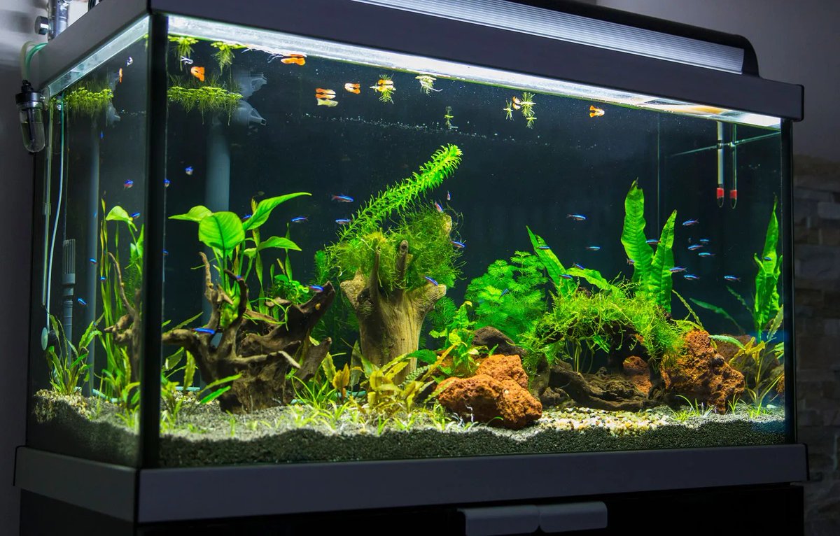 DT2ComicsChat's tweet photo. #TVRule📺 
#MovieRule📽️

If there's an aquarium in a scene,
no matter its size or location,

guaranTEED it's gonna get broken. https://t.co/kGQe3krOpL