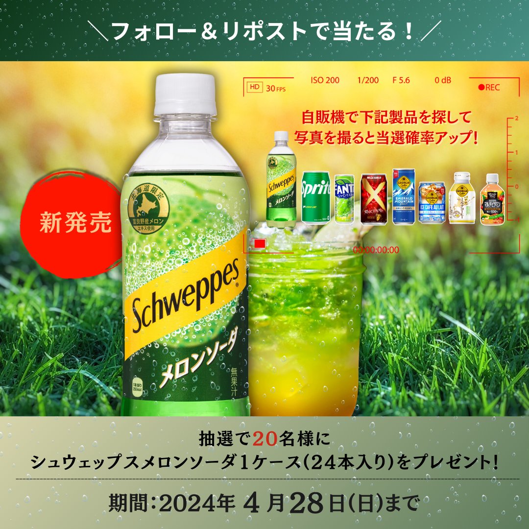 コカ・コーラ シュウェップス メロンソーダ なやましい 490ml コカ・コーラ シュウェップス メロンソーダ なやましい 490ml