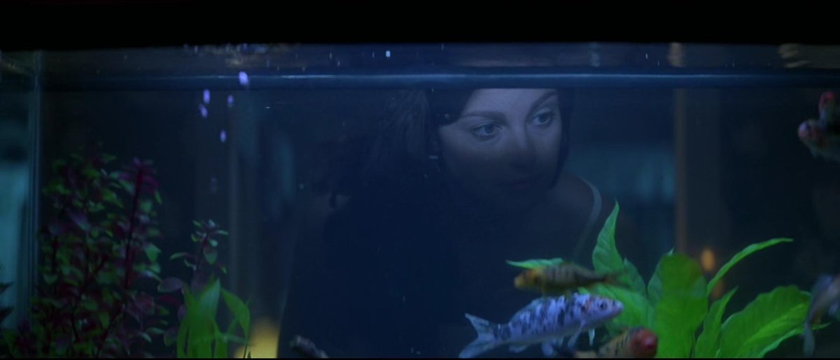 DT2ComicsChat's tweet photo. #TVRule📺 
#MovieRule📽️

If there's an aquarium in a scene,
no matter its size or location,

guaranTEED it's gonna get broken. https://t.co/kGQe3krOpL