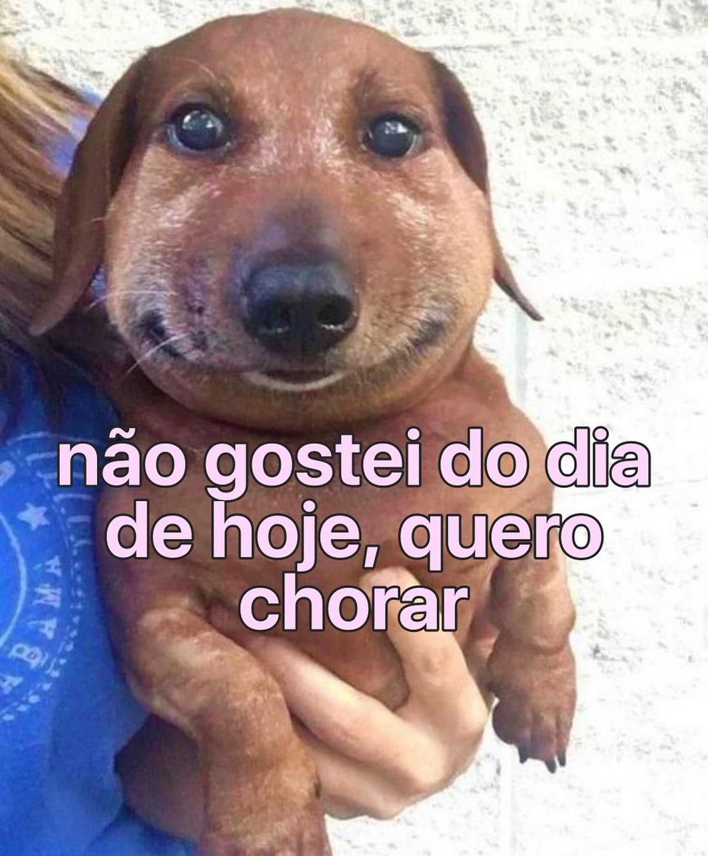musa dos meme tweet media