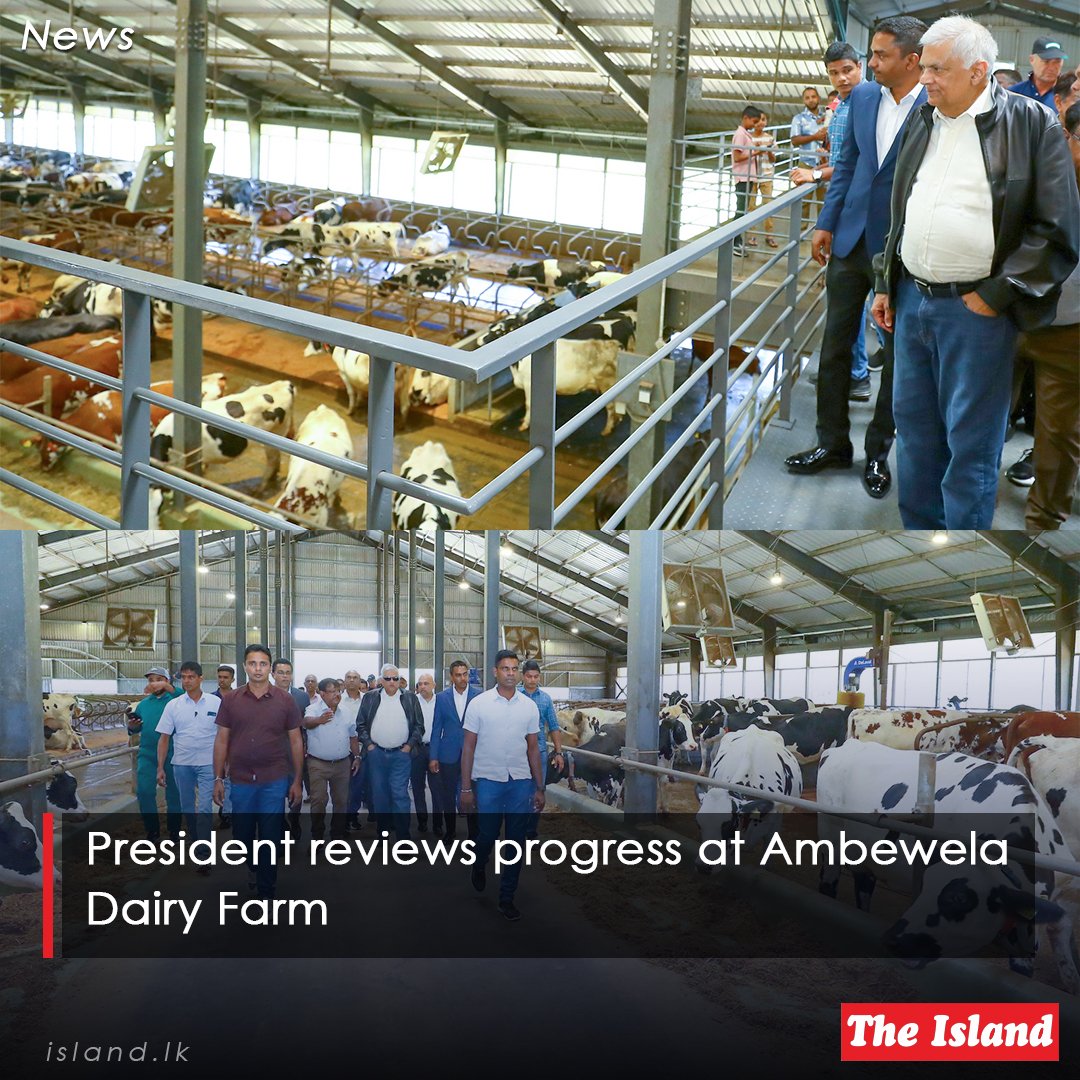 tinyurl.com/357dvw3c

President reviews progress at Ambewela Dairy Farm

#TheIsland #TheIslandnewspaper #RanilWickremesinghe #AmbewelaDairyFarm