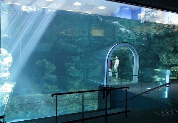 DT2ComicsChat's tweet photo. #TVRule📺 
#MovieRule📽️

If there's an aquarium in a scene,
no matter its size or location,

guaranTEED it's gonna get broken. https://t.co/kGQe3krOpL