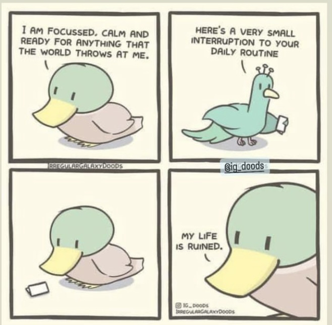 PonyCyclePal's tweet photo. ♪ It keeps on tumbling down ♪

#Autism #AutismAwarenessMonth #Autistic #Neurodiversity #Memes #ActuallyAutistic https://t.co/23OVJGSDE1