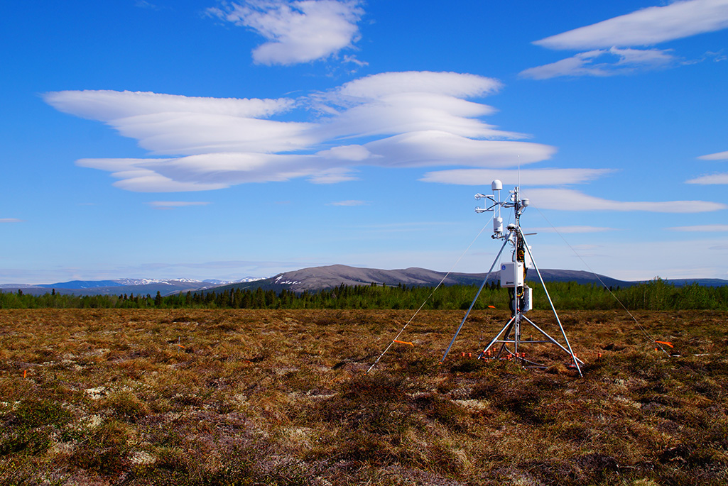 doescience's tweet photo. Increasing 9% since 2002 doesn't seem like a big jump, but when it's an increase in a powerful greenhouse gas, that's bad news. @BerkeleyLab scientists found that methane emissions from boreal Arctic wetlands are increasing. #ClimateScienceSunday https://t.co/qOLzqIVPD6 https://t.co/HucVdzDLSQ