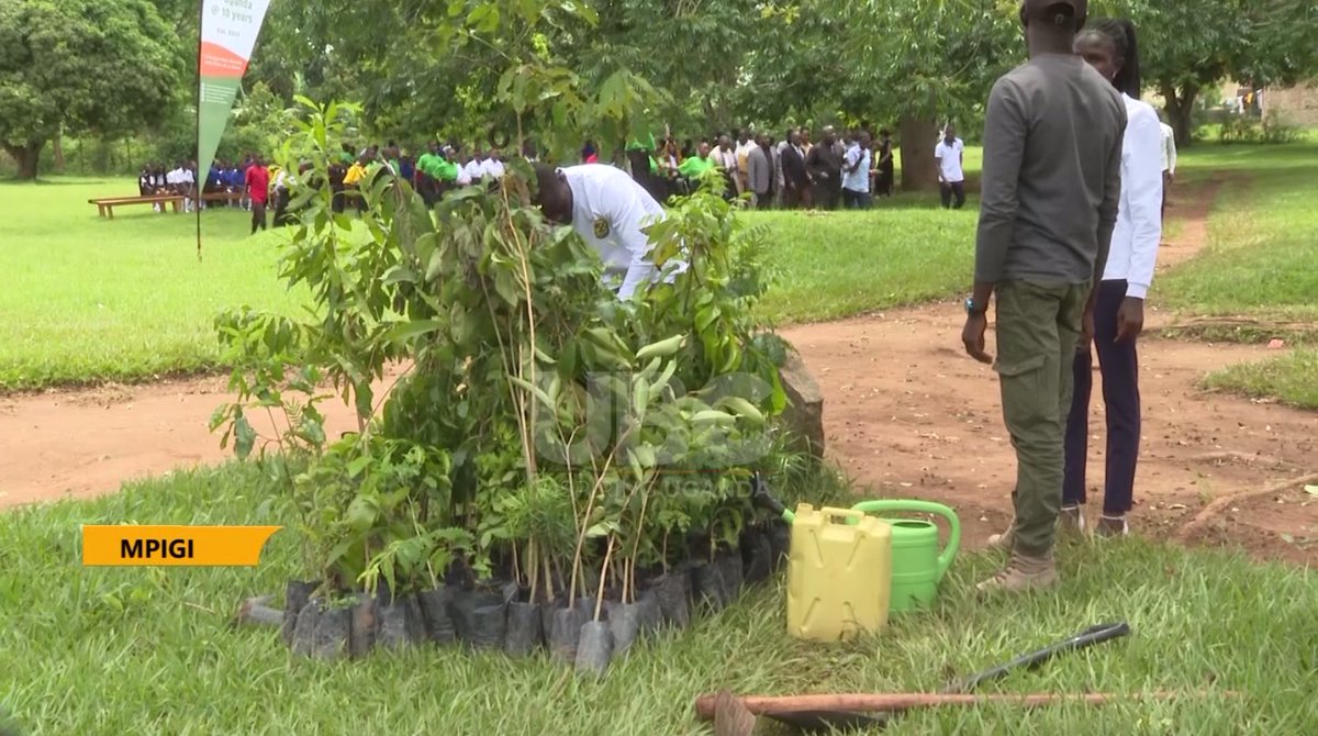 Ugandans have been urged to support environmental conservation by planting additional trees to help mitigate the risks linked to climate change. #UBCNews | youtu.be/6aE5koLrQrs