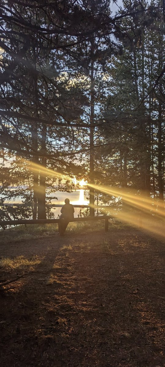 @naturetechfam @59NationalParks @GrandCanyonNPS @GCConservancy My wife watching the sun rise over Yellowstone Lake, just a few feet from our tent last July. A day, week & trip I wish I could revisit. #parkchat #FindYourPark #NationalParkWeek
