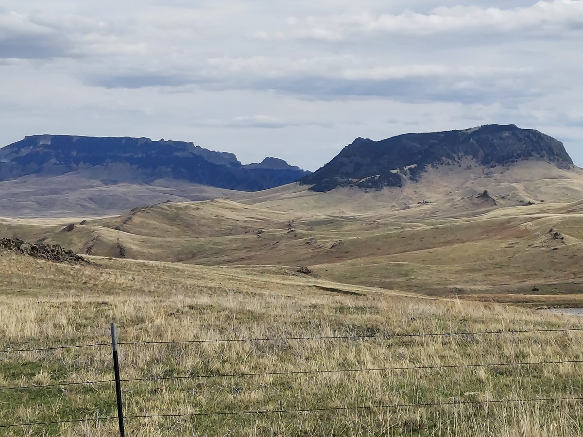 dlhevans's tweet photo. We went to Utica today to have burgers with cousins via the Geraldine-Geyser Cutoff. Charlie Russell Country will always have my heart. ❤️  The Highwood Mountains are seriously under-rated. #RealSquareButte #OxenYoke #CharlieRussell https://t.co/50iIdc2CTJ