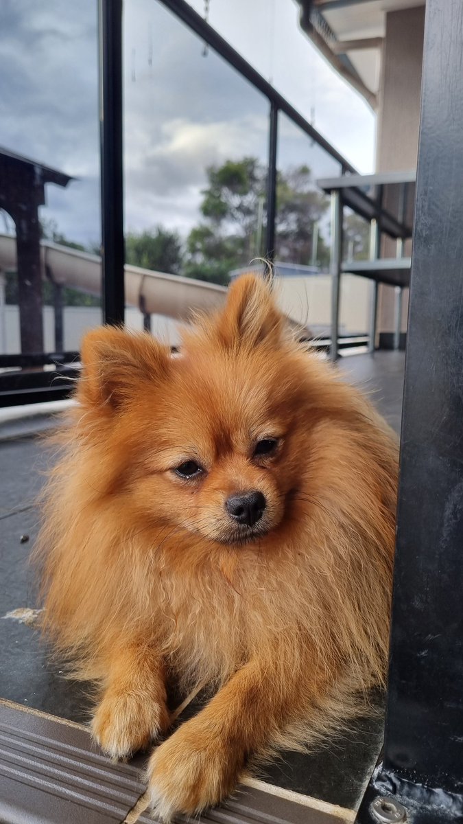 ItsSt0jj tweet media