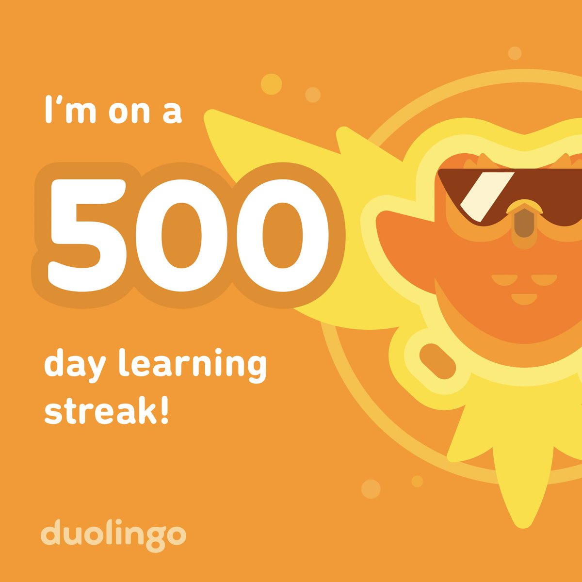 I’ve been practicing my Spanish for 500 days straight! ¡He estado practicando mi español durante 500 días seguidos!