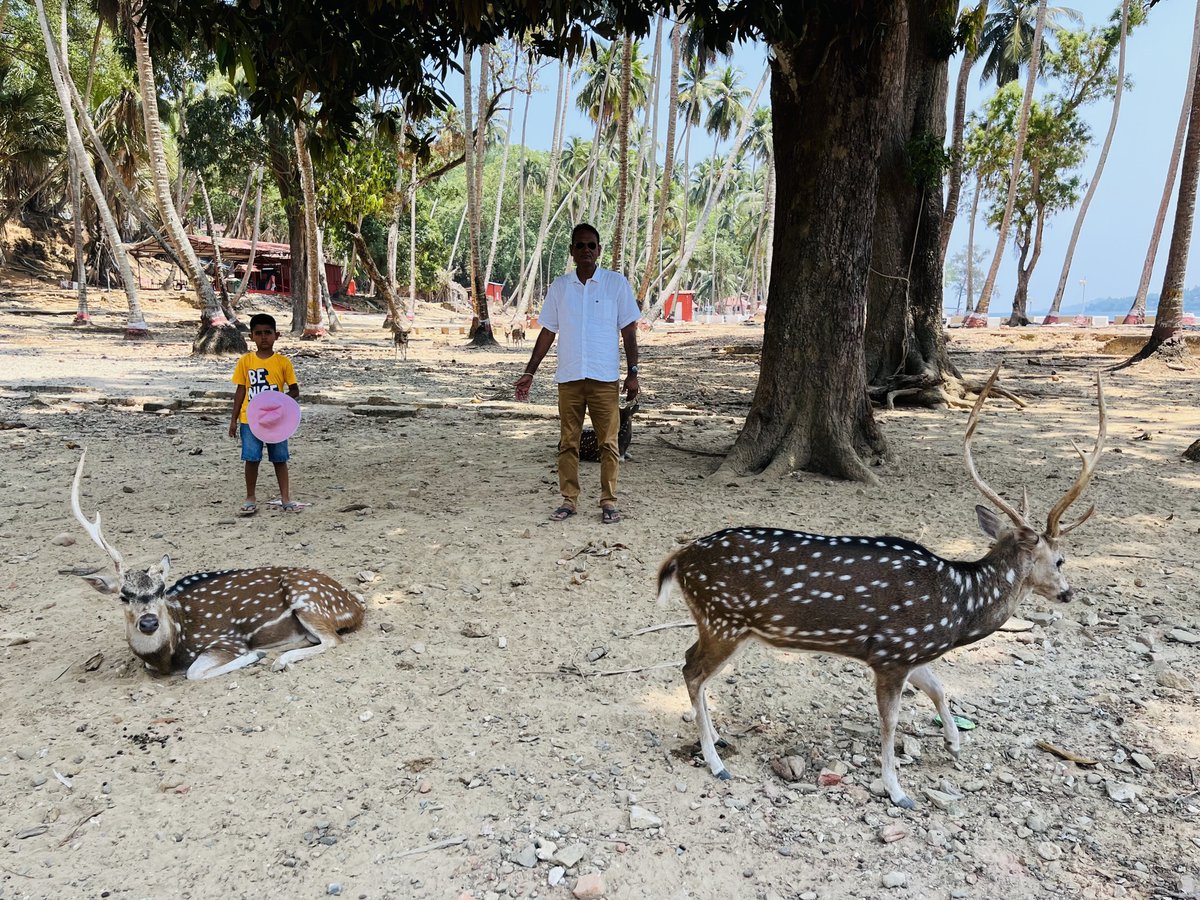 DrRamlal's tweet image. जल, जंगल, ज़मीन और जननी को बचाये, 
सृष्टि को बचाये।
प्रकृति की जय हो।
Earth Day 2024
#socialcause #EarthDay2024