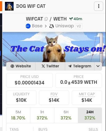 DogWifCatBase's tweet photo. #dogwifcat is purring along nicely. Who knew cats and dogs working together would pay off? 🤝 #UnexpectedAlliance $WIFCAT #catstayson #basechain #Ethererum #Coinbase https://t.co/sDh0paGEFU