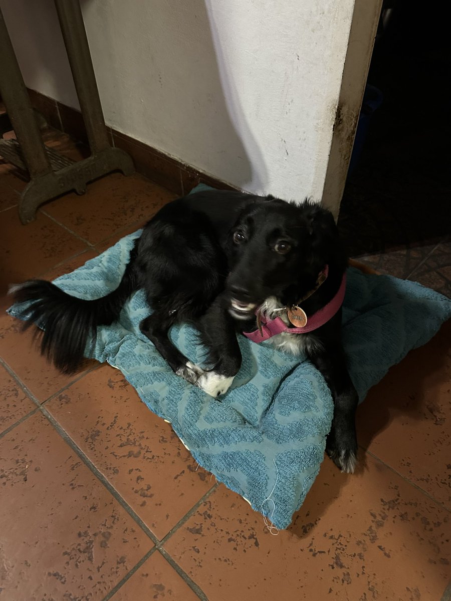 belusg_'s tweet photo. Cucha nueva * 3 hs más tarde*…. https://t.co/nUa4fvfKIh