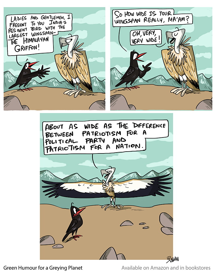 India's largest wingspan: the Himalayan Griffon!

Cartoon from my book Green Humour for a Greying Planet : amazon.in/Green-Humour-G… and in bookstores 

#cartoons #comics #greenhumour #raptors #vultures #wildlife #trivia #India #birdsofprey #himalayas
