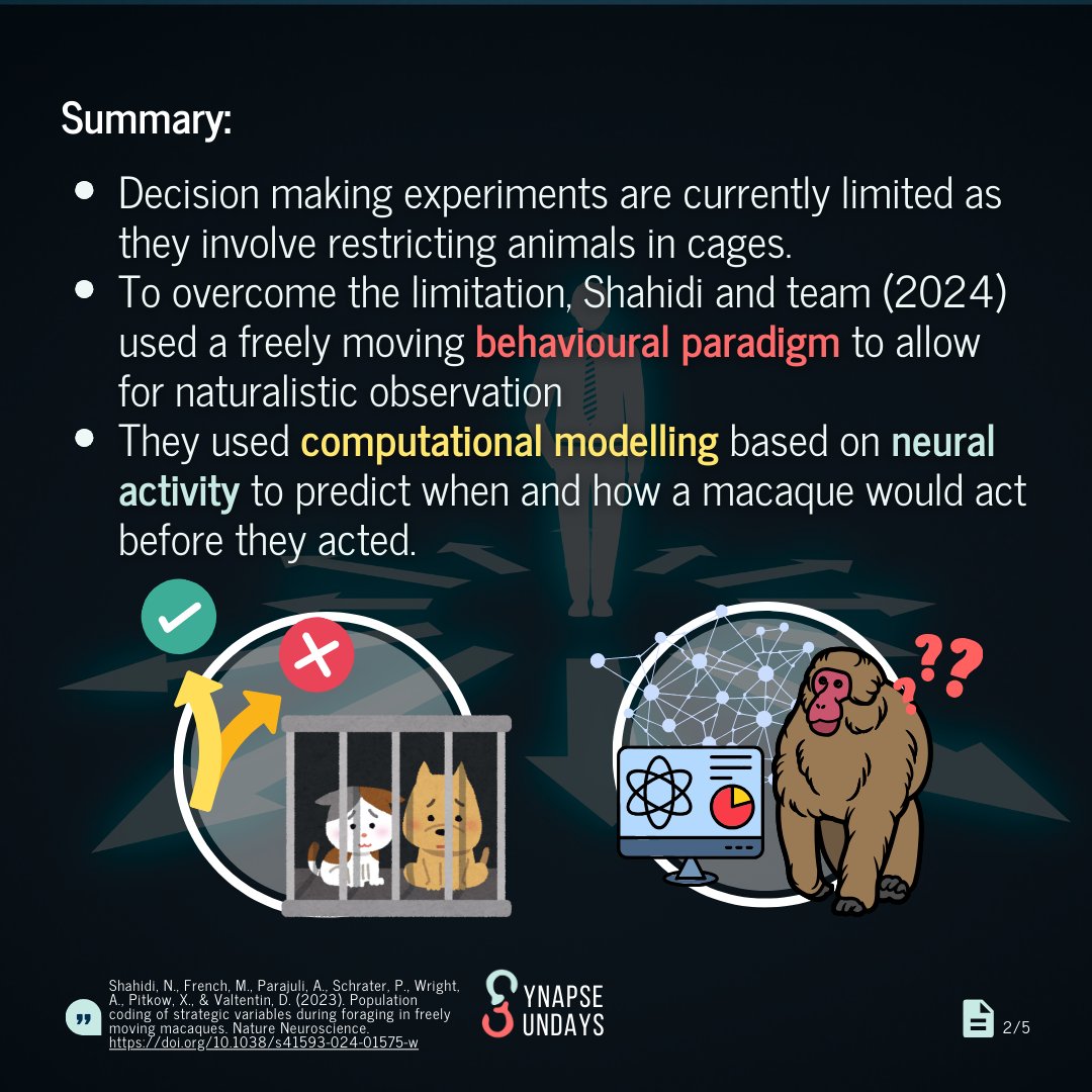 SynapseUofT's tweet photo. Just how many of your actions can be tied to your brain activity? By recording neural activity in the prefrontal cortex, researchers were able to predict when and where an animal would act before they acted. Swipe to learn more about this groundbreaking research! (1/2) https://t.co/ouykDnejer