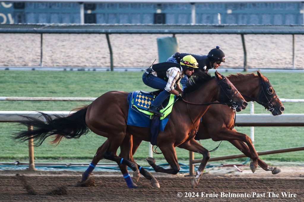 Muth (outside, 5F: 1:00.20 H) working this morning in company with Tour Player (inside, 5F: 1:00.20 H).