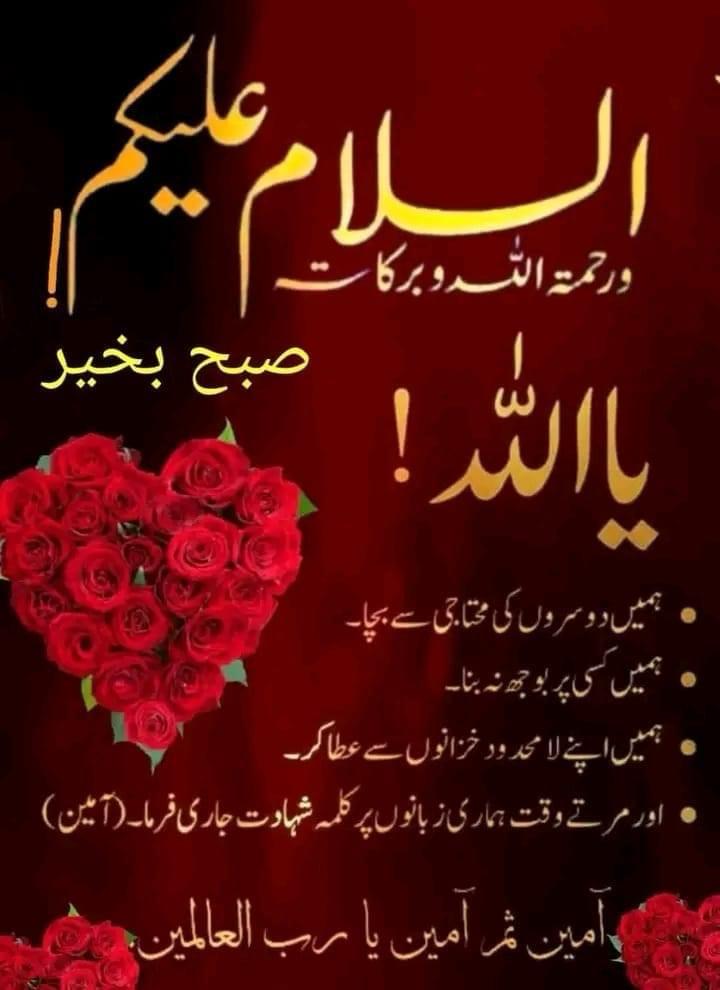 Aasalam o Aliakum

Good Morning have a nice day 

Friends kesy hain sb