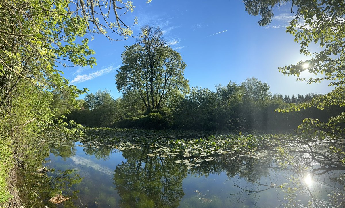 NeilPattonMusic's tweet photo. Slo-mo photo dump from the last several weeks of morning walks. 1/? From April 20, 2024
#nature #naturewalk #chasingbeauty https://t.co/QhLwLlvtIh