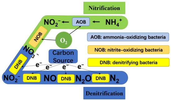 #SUSEditorialChoice

Advances in Nitrogen-Rich #Wastewater Treatment: A Comprehensive Review of Modern #Technologies 

by Abdullah Omar, et al. 

mdpi.com/2071-1050/16/5…

#mdpi #openaccess #sustainability #SDGs