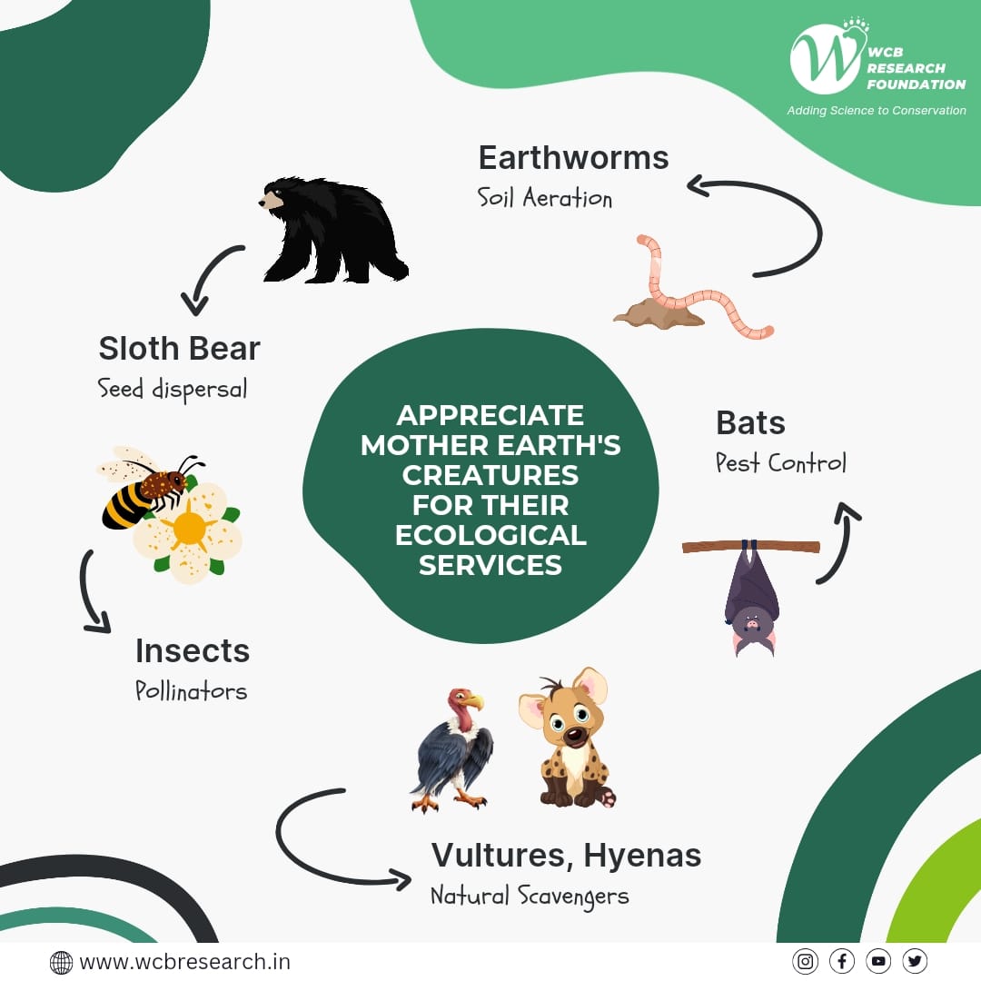 Happy World Earth Day! 🌍 Let's celebrate and cherish the incredible ecosystem services provided by Mother Earth's creatures. From the smallest insects to the mighty elephants, every being plays a vital role in maintaining our planet's balance. #SaveEarth #WorldEarthDay