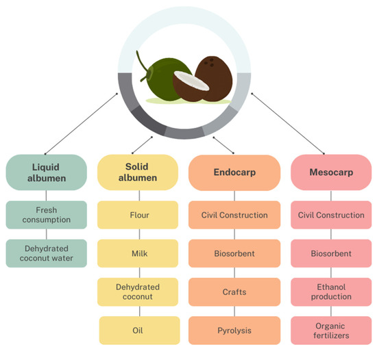 #SUSEditorialChoice

#Coconut #Waste: Discovering Sustainable Approaches to Advance a #CircularEconomy

by Fabrícia Vieira, et al. 

mdpi.com/2071-1050/16/7…

#mdpi #openaccess #sustainability #SDGs