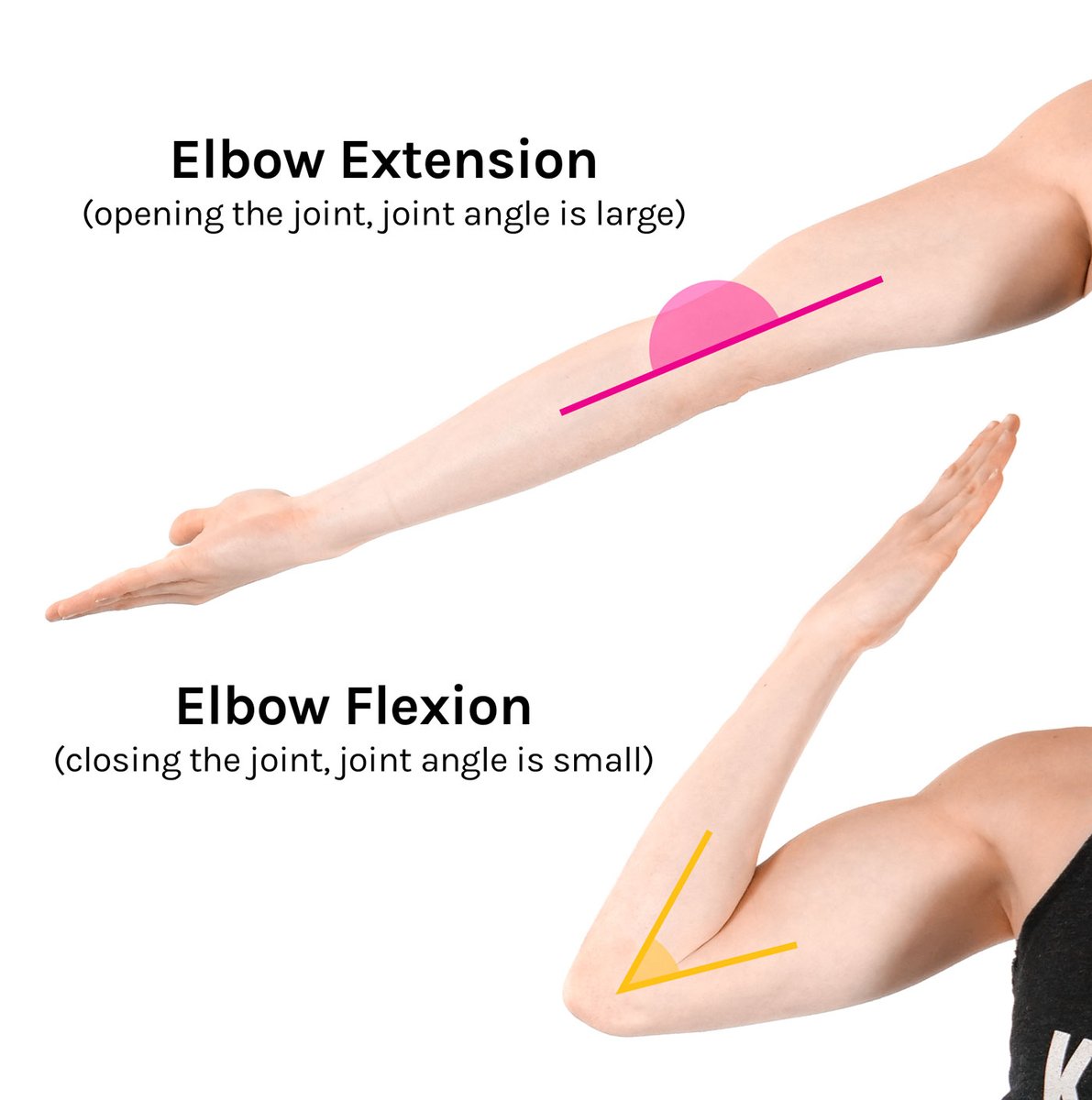 ⚠️ Which muscle in the arm is responsible for extending the elbow joint?

A. Biceps brachii
B. Triceps brachii
C. Brachialis
D. Brachioradialis

📝 COMMENT down the RIGHT ANSWER below

#MedEd #MedEd #MedTwitter #MuscleGrowth #MCQs #QuizOfTheDay #MedQuiz #QuizContest #Quizzes