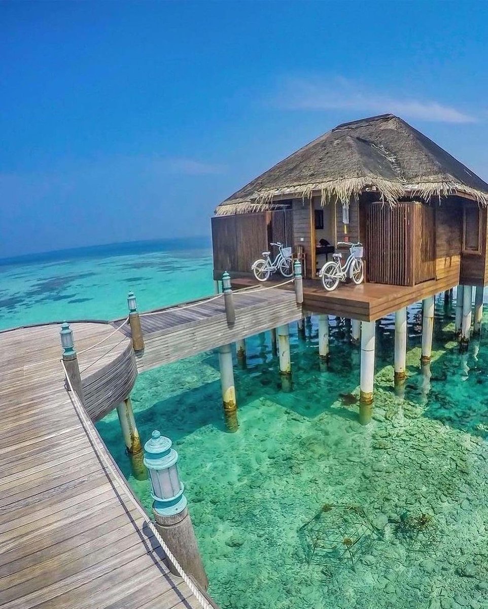 Jamil tharp tweet media