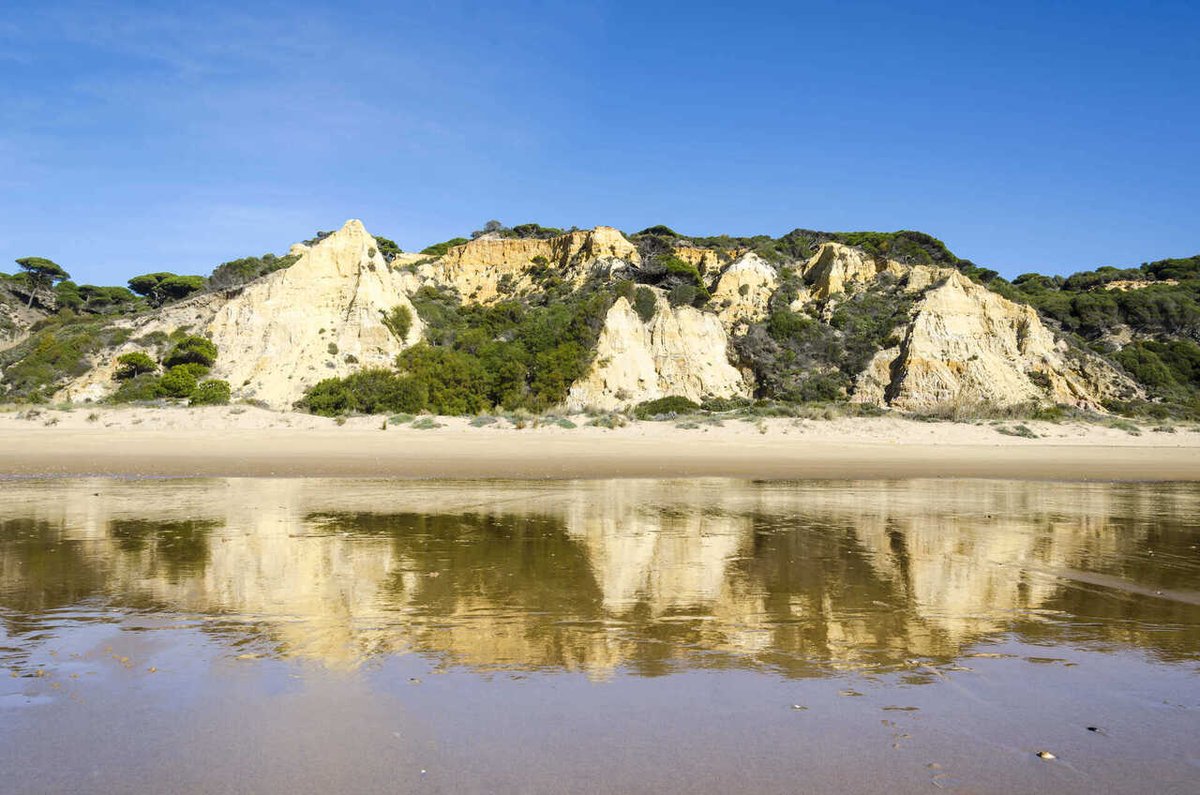 En #Andalucía ya lo sabíamos, pero nos gusta que nos recuerden que tenemos algunas de las mejores playas del mundo @NatGeoEspana Mil kilómetros de costa dan para mucho👇🏽 opgob.es/t1vnq2