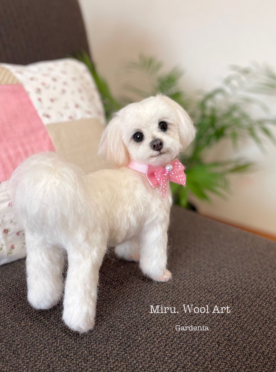 Miru. 羊毛フェルト tweet media