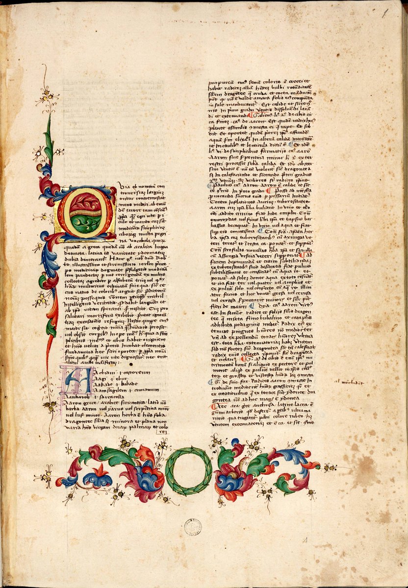 Frontispiece Series 12:

Lexicon Medicum, Florence c. 1450

Matteo Silvatico, MS San Marco 136, c. 1r, Biblioteca Medicea Laurenziana, Florence.

#csmbr #medicalhistory