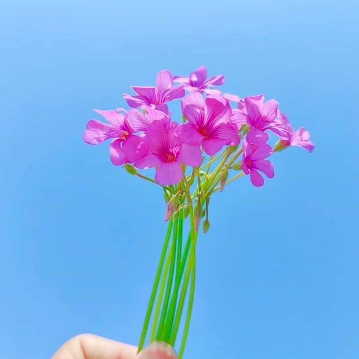 Assalam u alaikom 
Good Morning x family ❤️